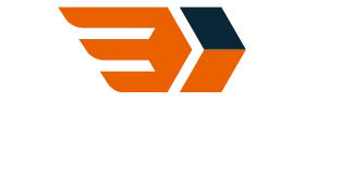 Dreamelect Logistics logo